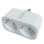 Gniazdko inteligentne TESLA Inteligentne gniazdko Dual SD300 TSL-SPL-SPD300